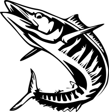 ilustration background vektor baraccuda fish