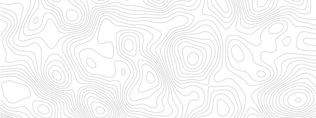 Fototapeta premium Topographical Landscape Design with Geometric Lines and Grids Mapping Technology, Sea Maps, and Area Spaces in a Modern Pattern 