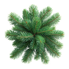 christmas fir tree decoration top view isolated on transparent background, PNG