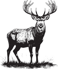 Deer wild animal antlers vector illustration