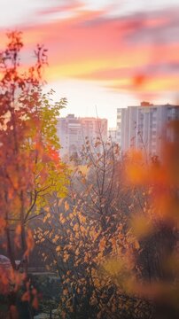 Autumn sunrise with colorful trees and city buildings