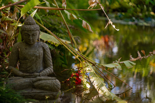 Close-up shot of a Buddha statue by a river at Auberge St Aubin, Mauritius