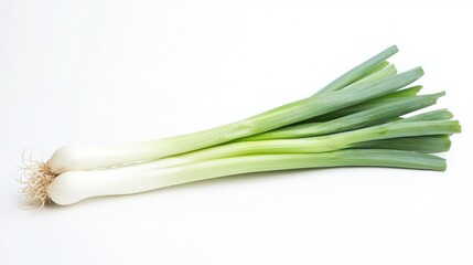 Fresh leek on white background