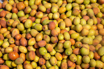 A vibrant mix of jujube fruits in full display—from fresh green to sun-kissed yellow and mellow brown—celebrating nature’s art of ripening.