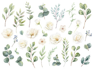 Watercolor set with green eucalyptus leaves and white roses. Greenery clipart for wedding invitation, greeting cards, save the date, stationery design.  Hand drawn illustration.