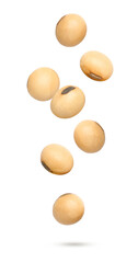 Soya bean flying isolated on white background