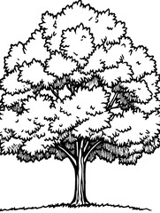 A simple illustration depicting a black and white deciduous tree