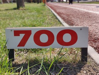 700 Steps Ahead: A Milestone on the Path of Life, Symbolizing Progress and the Journey Towards Our...