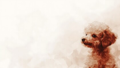 Fluffy Poodle Portrait for Watercolor Style.