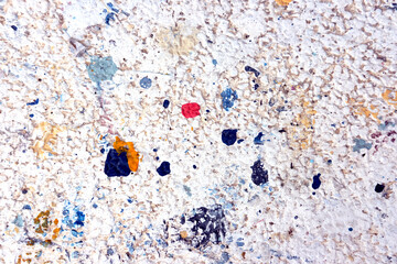 grunge white background with paint