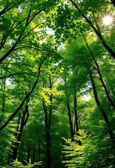 Fototapeta premium Lush green forest canopy, sunlight dappling the forest floor, breathtaking, sunlight