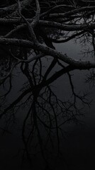 Dark reflection of branches in still water.