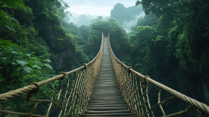 A rope bridge stretching across a lush, misty rainforest canyon.