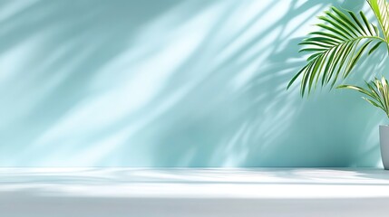 Bright Sunlight Illuminates Palm Plant Casting Shadows on Light Blue Wall, Minimalist White Tabletop Display