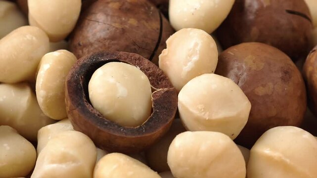 Close-up of dried macadamia nuts
