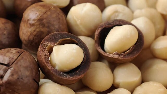 Close-up of dried macadamia nuts
