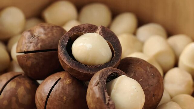 Close-up of dried macadamia nuts