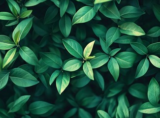 Obraz premium Blurred green nature background with a bokeh effect. Blurry spring or summer abstract background with defocused light and shadow, a nature-blurred background. Soft light and shadow. Flat lay. 