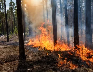 Fototapete Rund Incendio en un bosque. Llamas quemando arboles. Concepto de desastre natural © Angeles