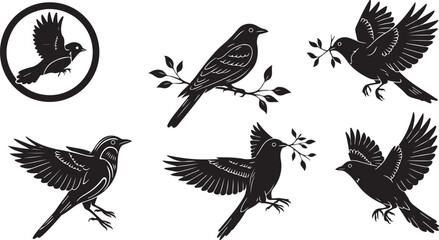 Obraz premium Bird Silhouette: Avian Symbol, Wildlife, Flat Vector Illustration