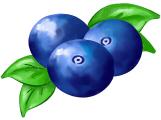 blueberries isolated on white background