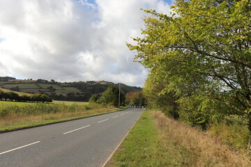 Country road in the UK