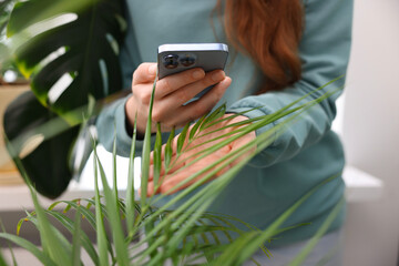 Woman using houseplant recognition application on smartphone indoors, closeup
