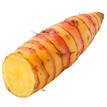 A whole oca root isolated on a transparent background