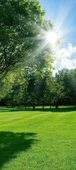 Fototapeta premium A serene landscape featuring lush green grass, towering trees, and sunlight filtering through the foliage, creating a peaceful outdoor setting.