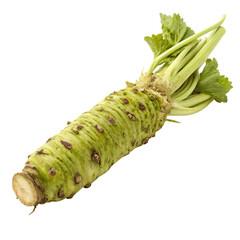 A whole wasabi root isolated on a transparent background