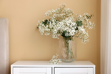 Bouquet of beautiful gypsophila flowers and eucalyptus branches in vase on chest of drawers near beige wall © New Africa