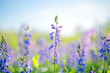 Obraz premium A single stalk of delicate bluebells stands tall, surrounded by a field of blurred blossoms under a bright sky.