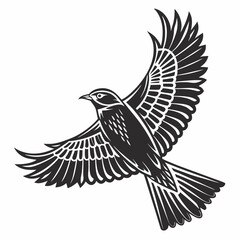 Obraz premium silhouette of a bird