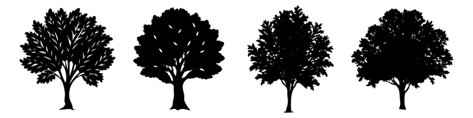 elm tree icon, elm tree silhouette vector illustration-simple silhouette illustration of elm tree, perfect for elm tree logos and icons