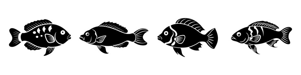 firemouth cichlid fish icon, firemouth cichlid fish silhouette vector illustration-simple silhouette illustration of firemouth cichlid fish, perfect for firemouth cichlid fish logos and icons
