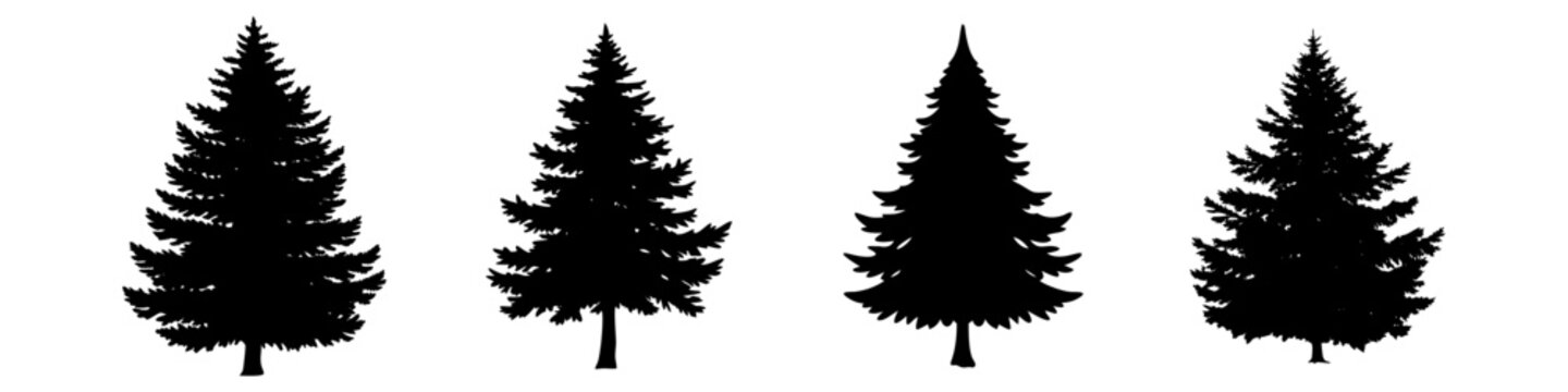 douglas fir tree icon, douglas fir tree silhouette vector illustration-simple silhouette illustration of douglas fir tree, perfect for douglas fir tree logos and icons