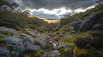 Obraz premium Serene Mountain Valley Creek: Mossy Rocks and Dramatic Sky