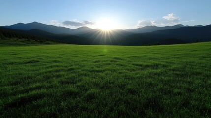 Fototapeta premium Lush green meadow at sunset, mountains in the background