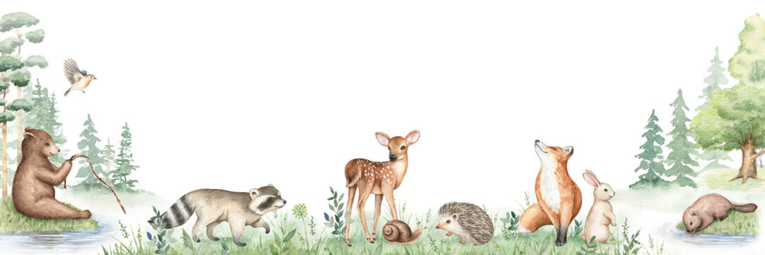 Watercolor forest animals. Baby raccoon, deer, fox, bear, hedgehog, bunny, beaver. Hand drawn illustration. Woodland border, nursery art, wild life design for print, wallpaper, greeting cards, poster.