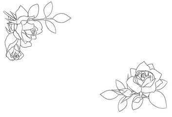 バラの線画イラストフレーム(コーナー)