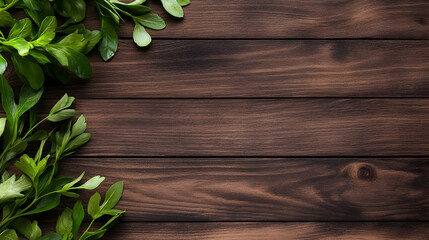 Lush green plants on dark wood background, space for text, ideal for nature or health-related design
