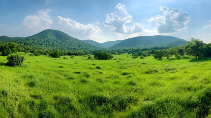 Obraz premium Lush green valley meadow landscape, sunny day, mountains background, perfect for travel brochures