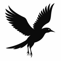 Flying beautiful bird silhouette vector