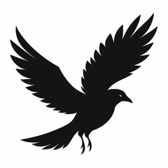 Flying beautiful bird silhouette vector