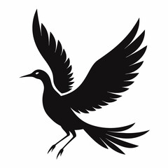Flying beautiful bird silhouette vector