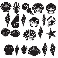 set vector various Seashell silhouettes