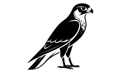 Falcon silhouette, black bird vector illustration