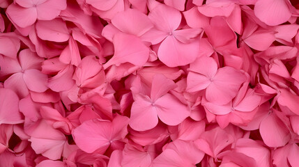 Naklejka premium Pink hydrangea petals scattered, floral background, nature texture, perfect for design