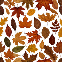 Obraz premium Autumn Leaves PNG. High Quality Transparent Fall Foliage Background. Realistic Autumn Leaves PNG