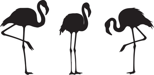 Obraz premium Flamingo Icons, Perfect for Nature and Tropical Themes - Flat Vector Illustration 